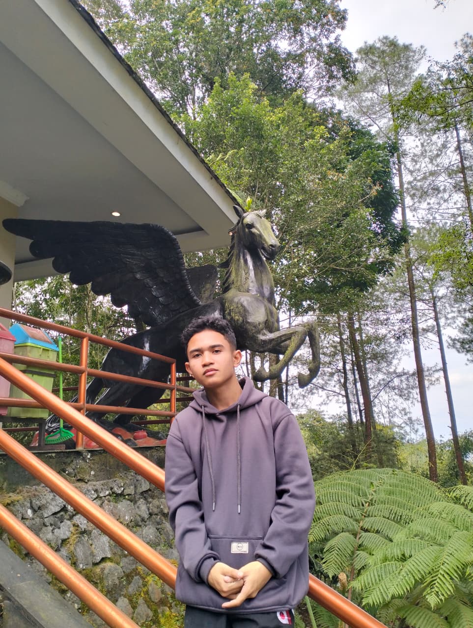 Dimas Saputra Profile